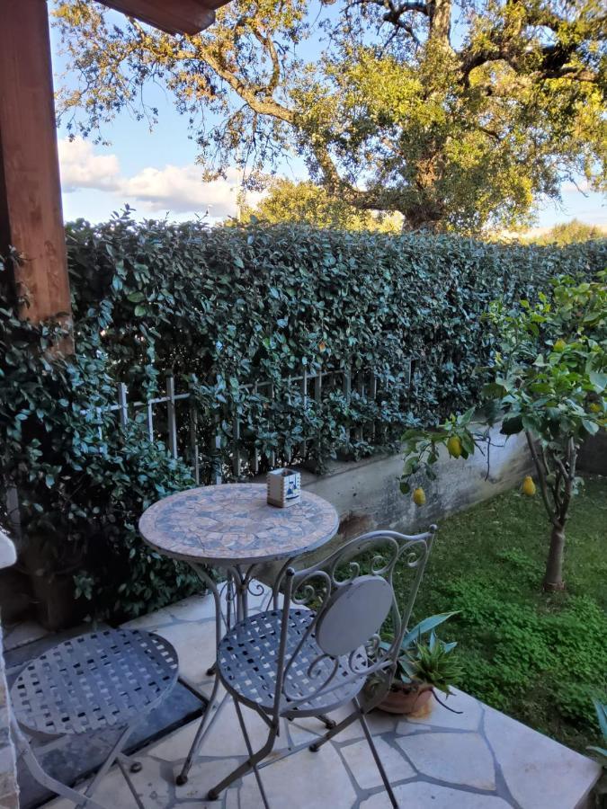 Lulamax Sardegna Olbia Exterior photo